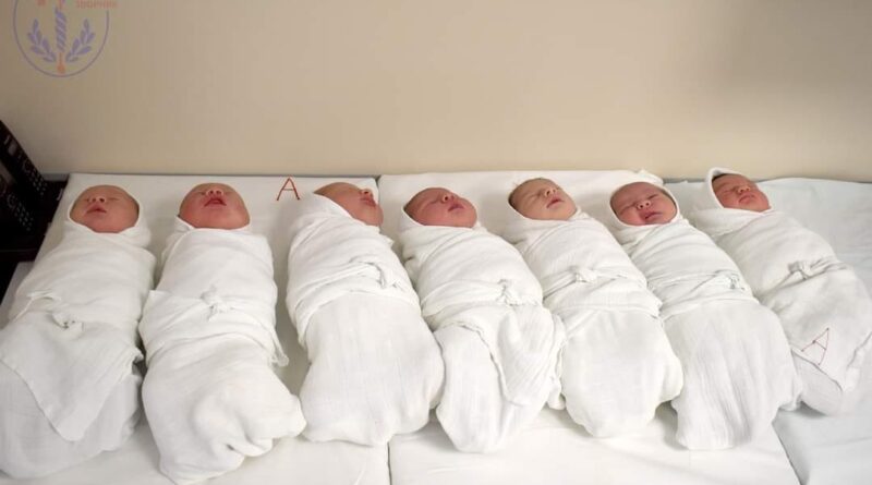 346650320 557807559769202 9023606759772746932 n