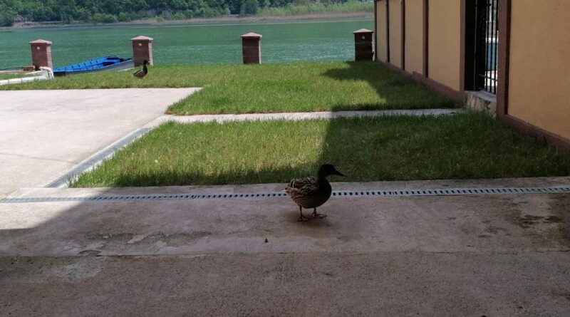 viber image 2023 05 09 06 22 52 062