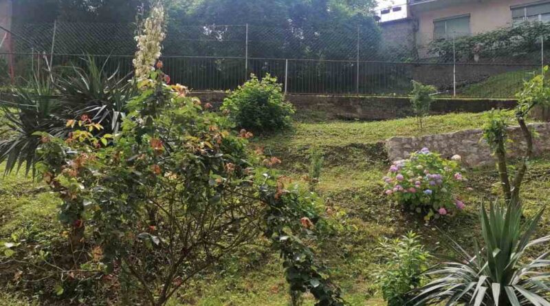 viber image 2023 06 12 06 20 26 566