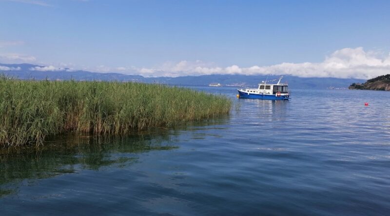 ohridsko jezero camac trska sasa