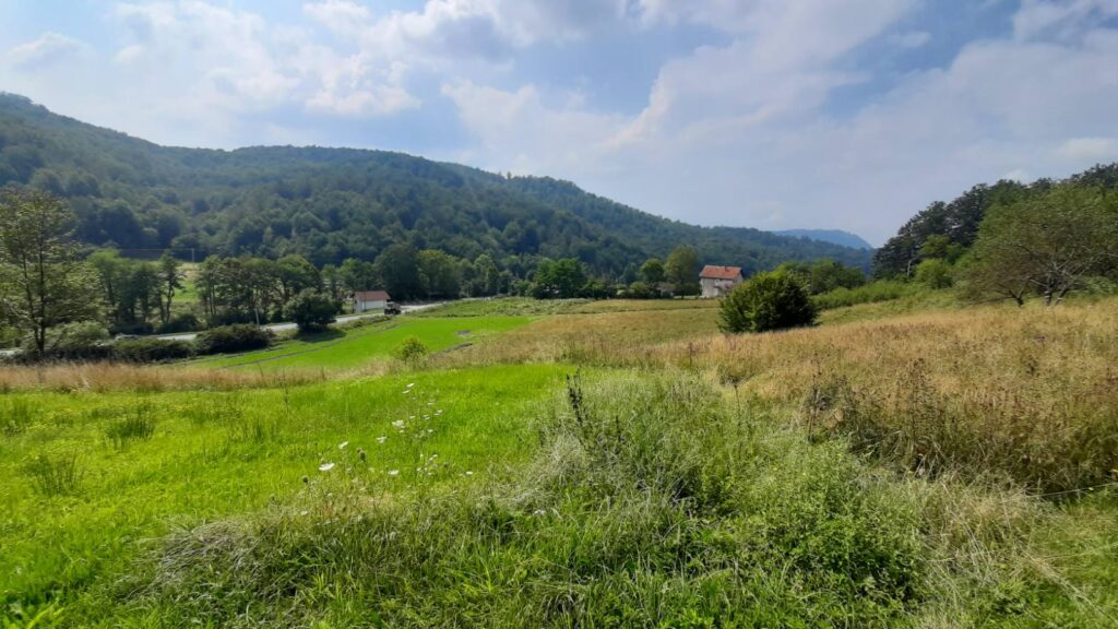 selo zelenilo avgust