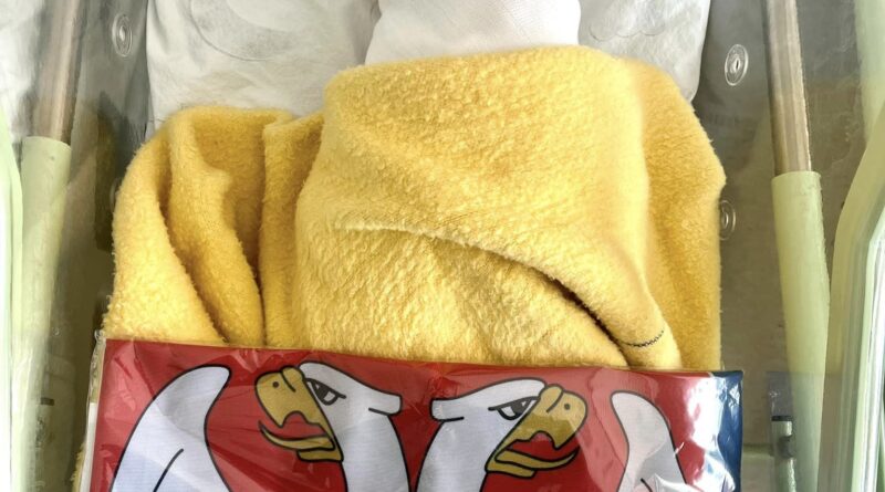 378381131 827074426088602 615438294481075386 n