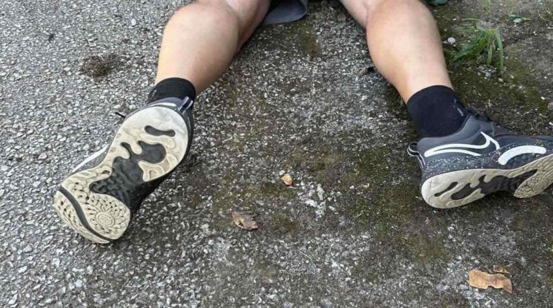 IMG 3036de7a7067d7679598e93df0f2f3d4 V