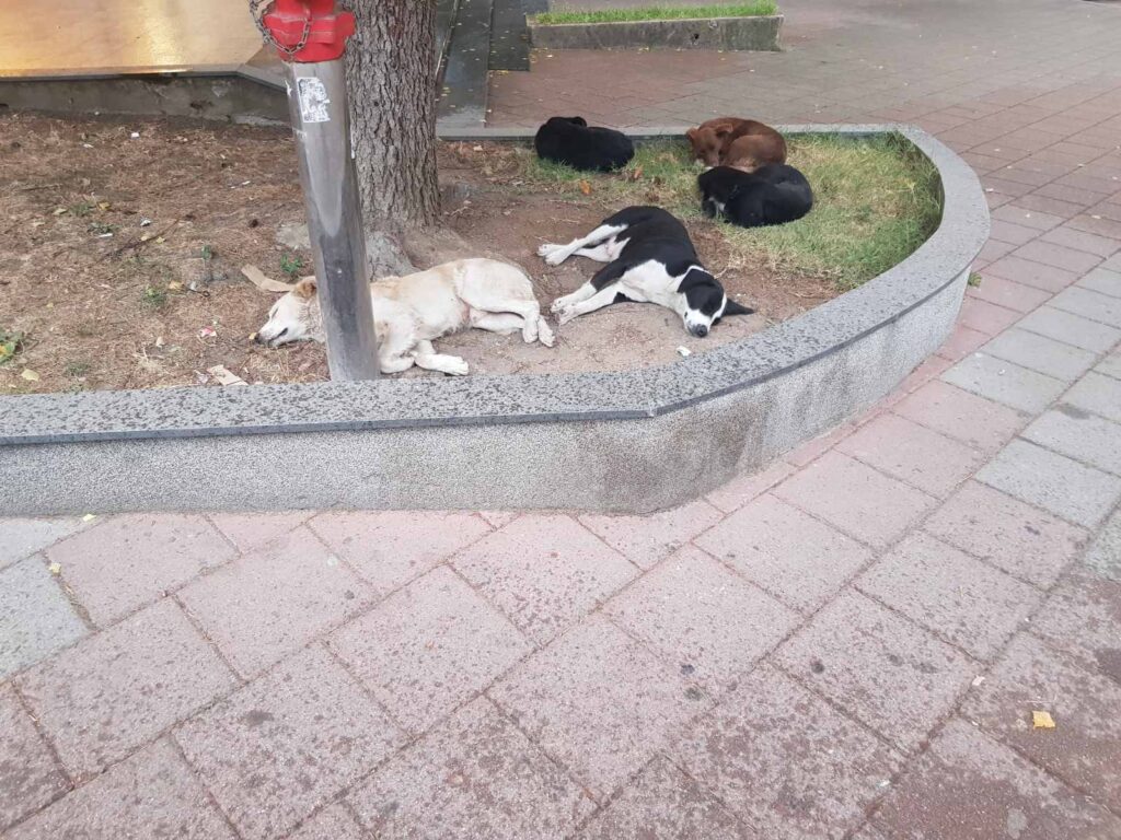 viber image 2023 09 05 09 57 33 536