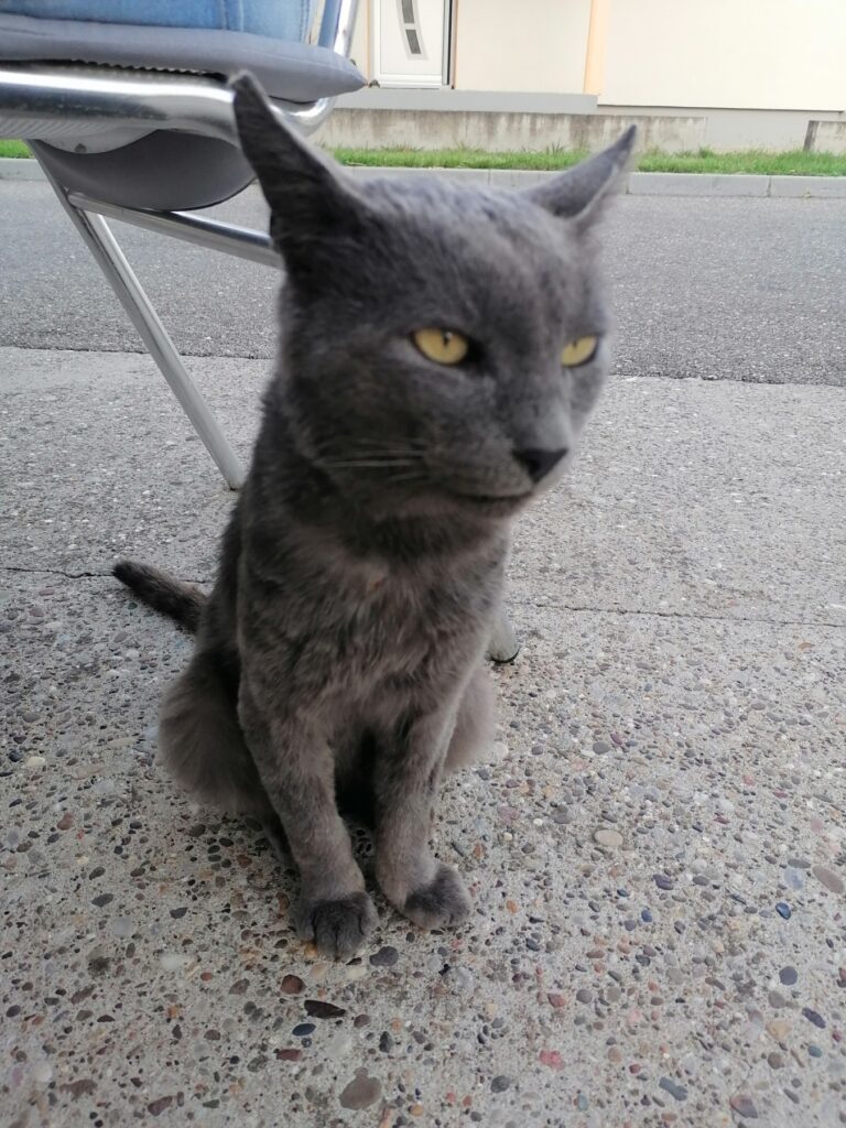 viber image 2023 09 15 06 40 52 422