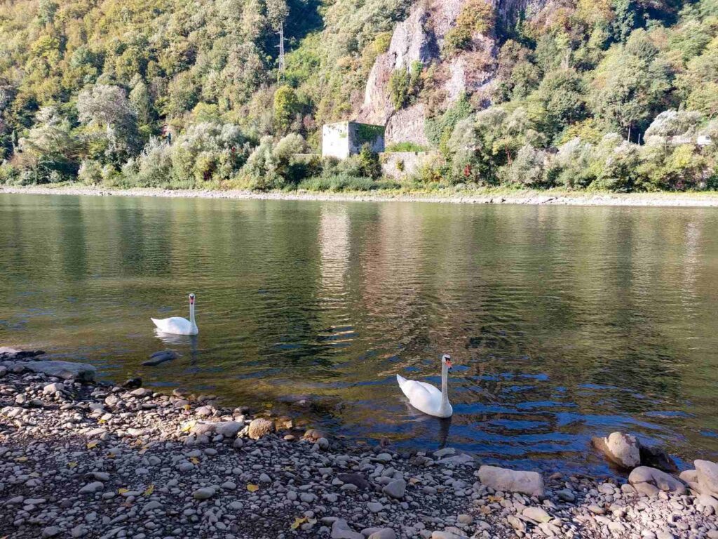 391574597 809563881175870 6767863030888628646 n