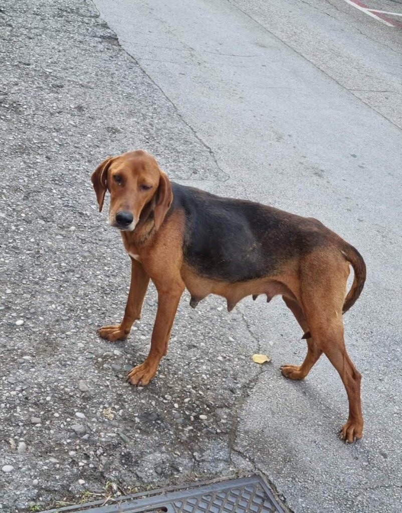 viber image 2023 10 13 20 07 57 499