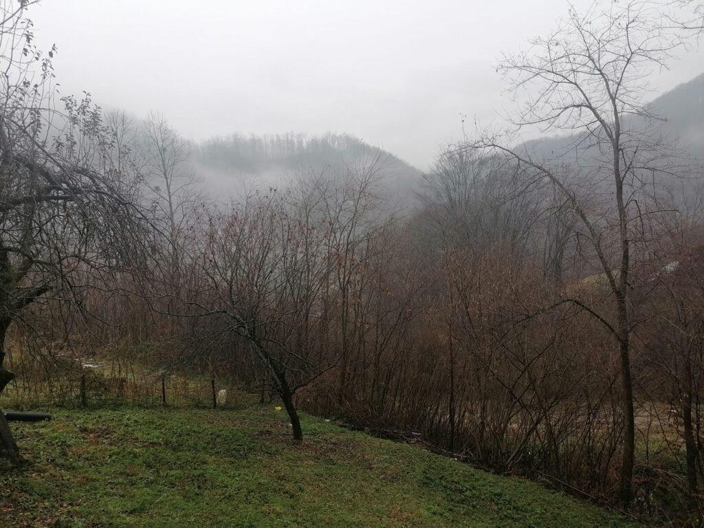 magla jesen
