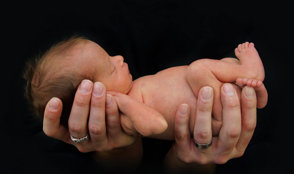 nedonoscad 2000 598f52f3d70db