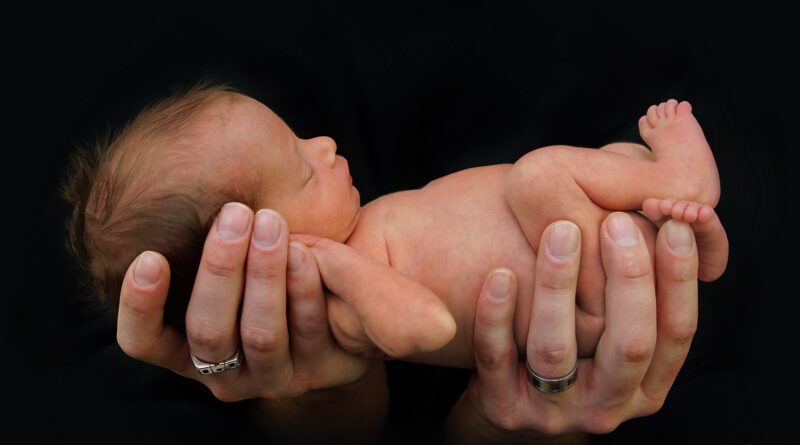 nedonoscad 2000 598f52f3d70db