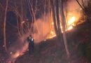 Братунац: Избио и трећи шумски пожар