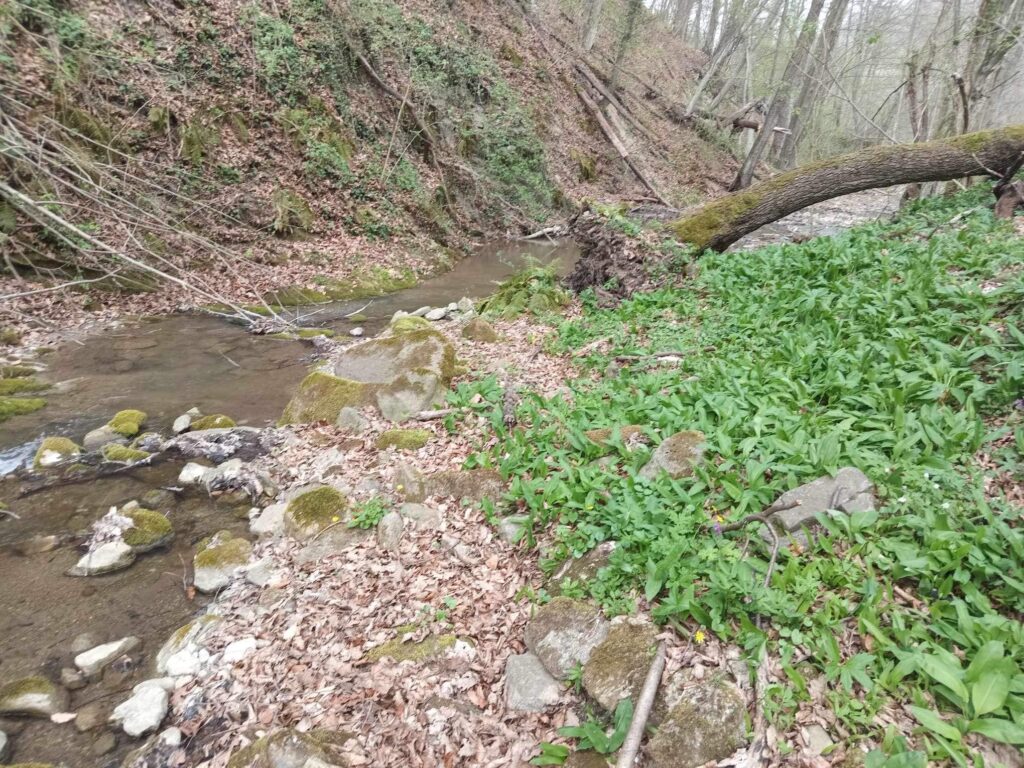 434748894 926994219432835 5902132084305536336 n