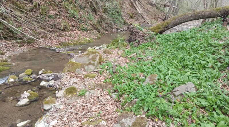 434748894 926994219432835 5902132084305536336 n