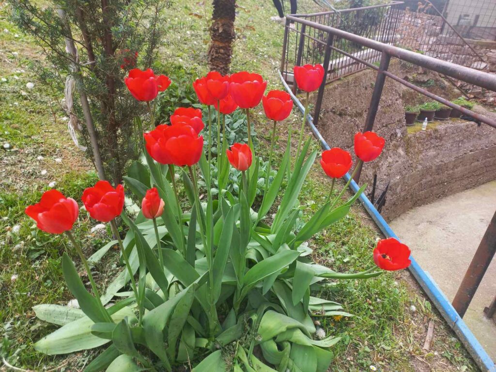 viber slika 2024 03 31 21 44 06 364