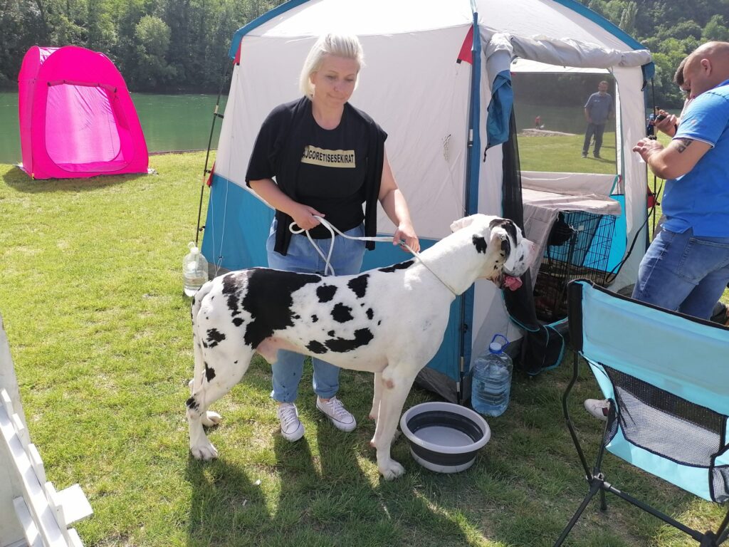 viber slika 2024 05 19 10 50 11 528