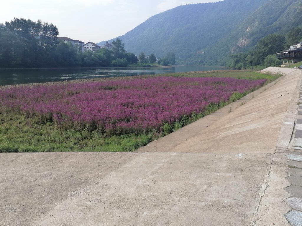 451337894 1003083085157281 5759687666251936512 n