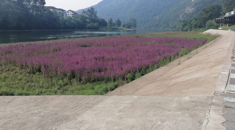 451337894 1003083085157281 5759687666251936512 n