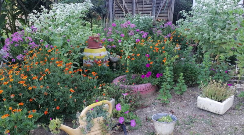 viber slika 2024 07 28 06 51 43 693