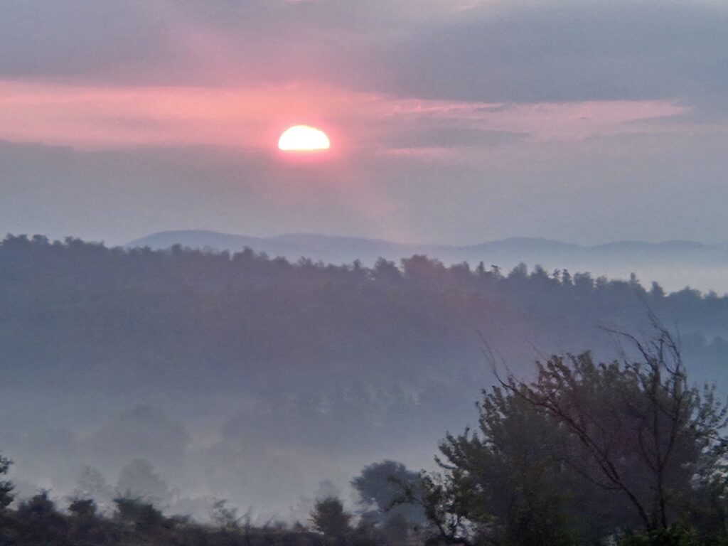 viber slika 2024 08 09 05 55 51 141