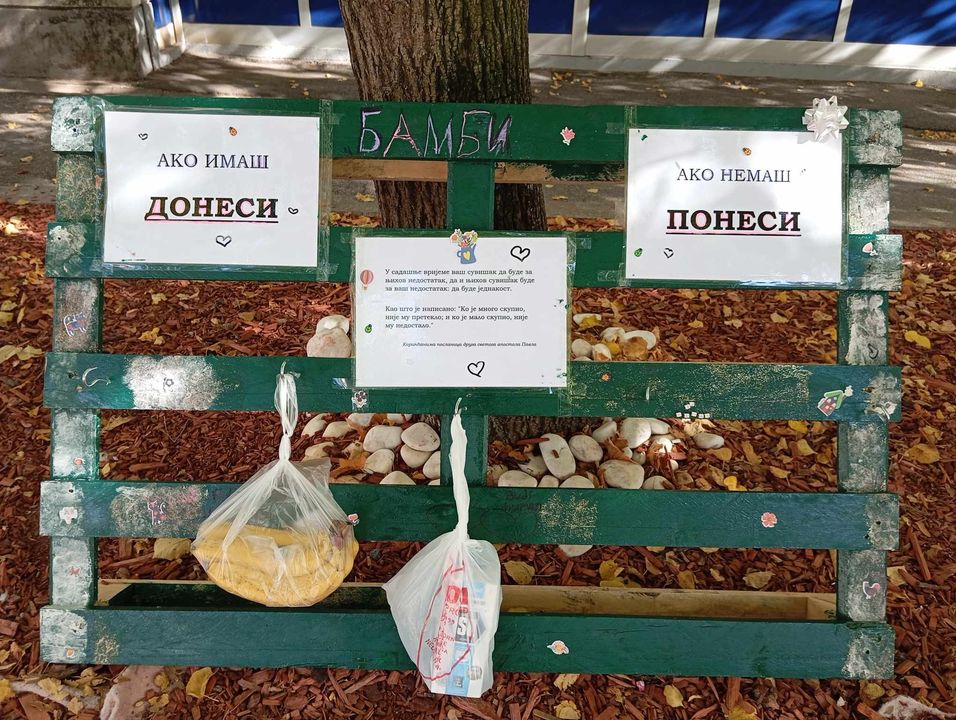 462558907 1523020374998322 5272525890227502326 n