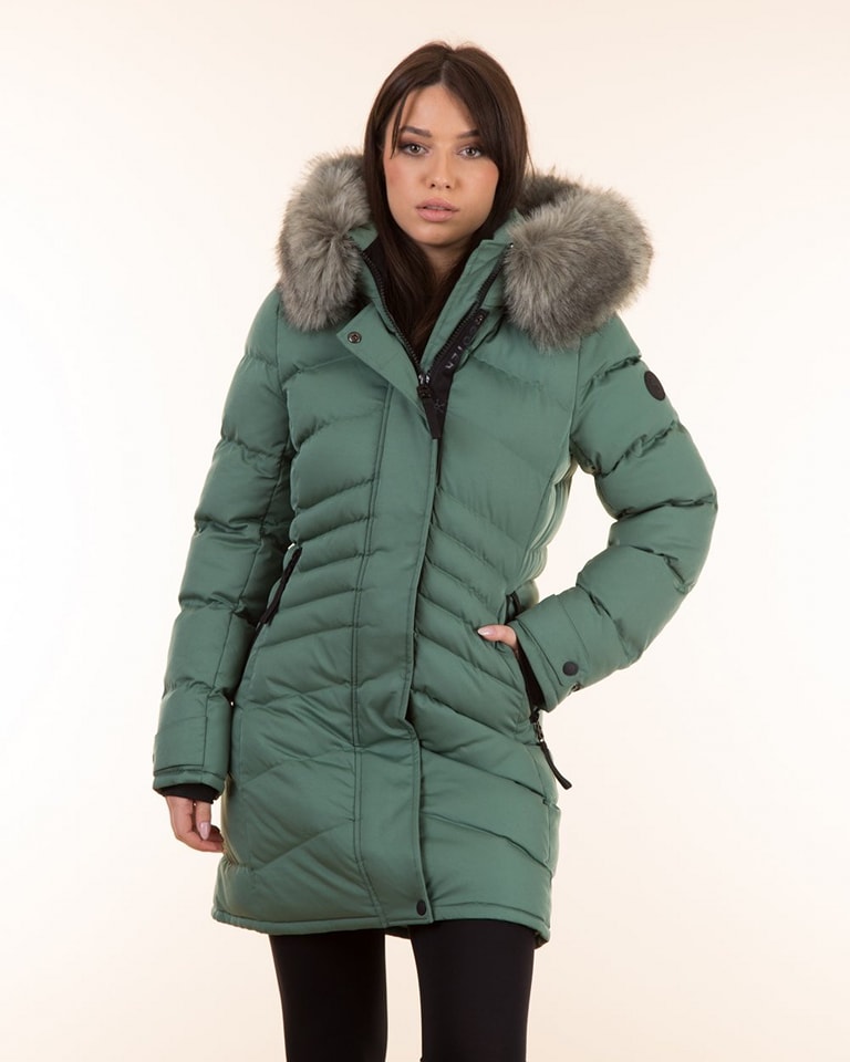 462705335 988551373294061 7374353257762556306 n