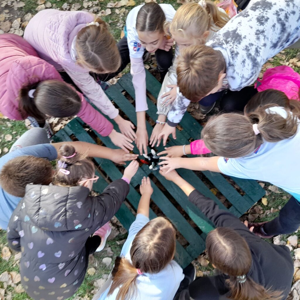 464490428 493368343741350 3227881317949445290 n