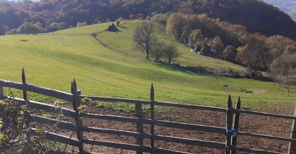 462544253 2858595394315658 1057480834941722017 n