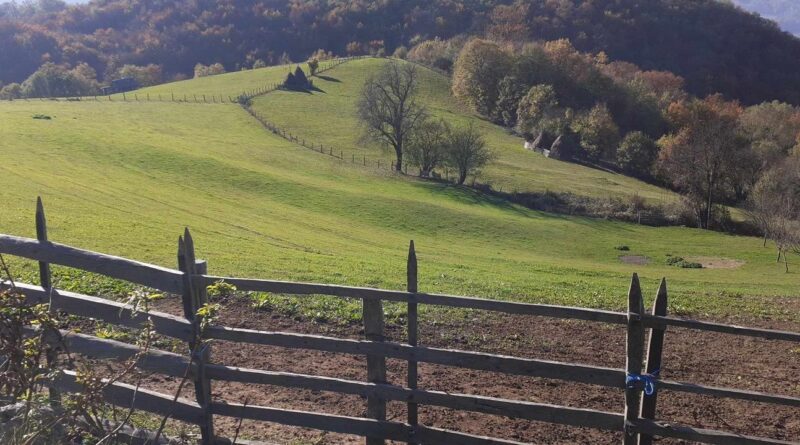 462544253 2858595394315658 1057480834941722017 n