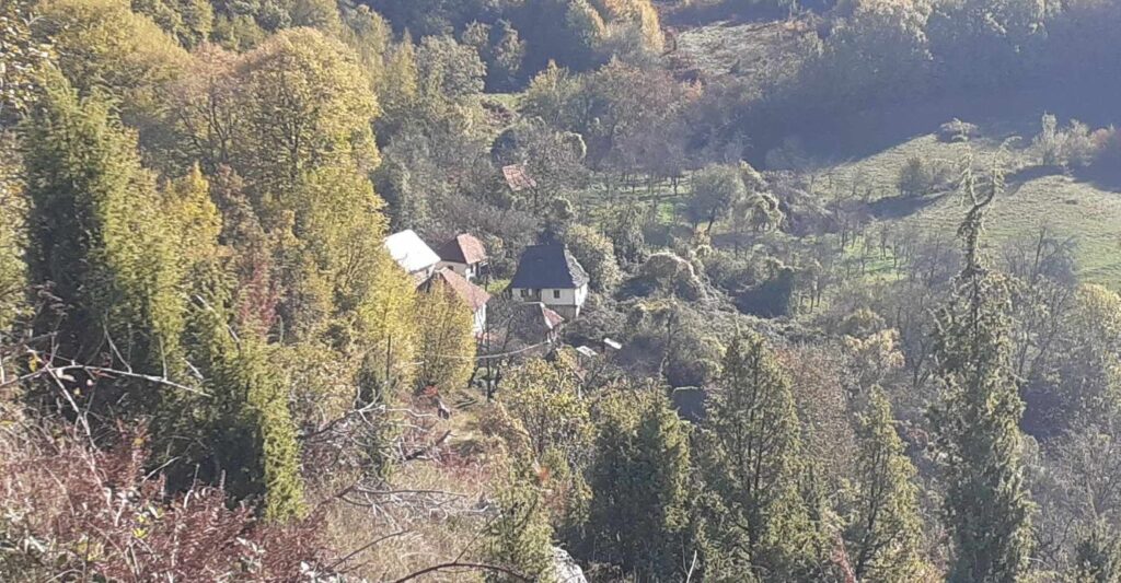 462559307 2777458292432296 9164718840152263401 n