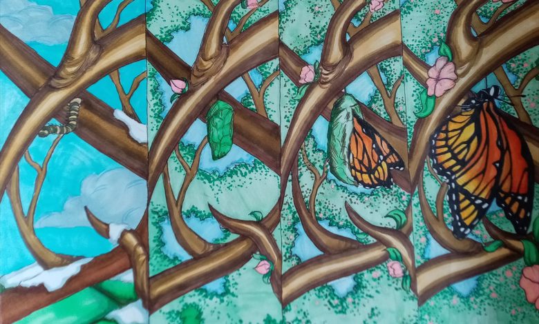 strip masa bradic 4 780x470 1