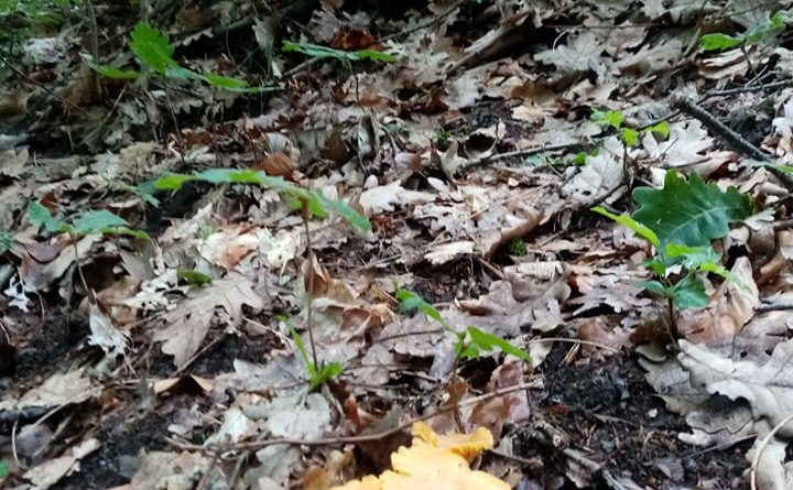 348372078 264693022741093 4834428406280732889 n