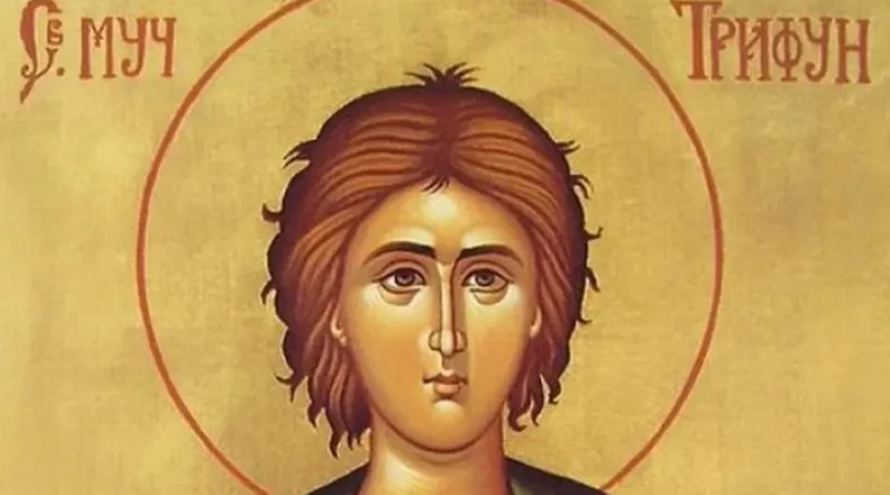 sveti trifun sc
