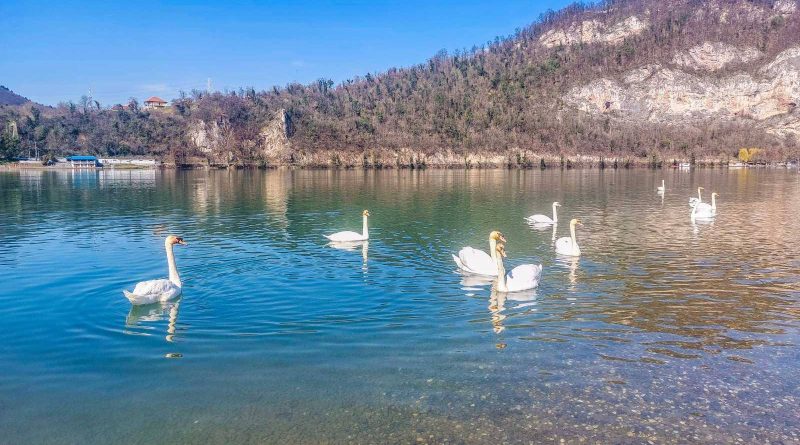 483605467 1191762929622628 8393345847466623066 n