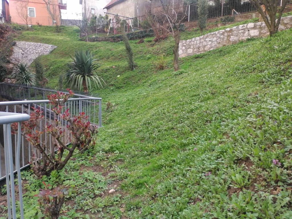 viber slika 2025 03 15 06 44 40 060