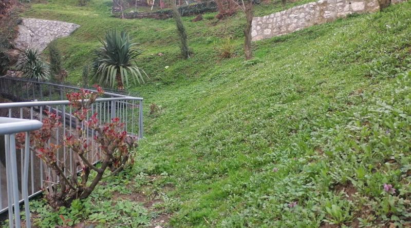 viber slika 2025 03 15 06 44 40 060