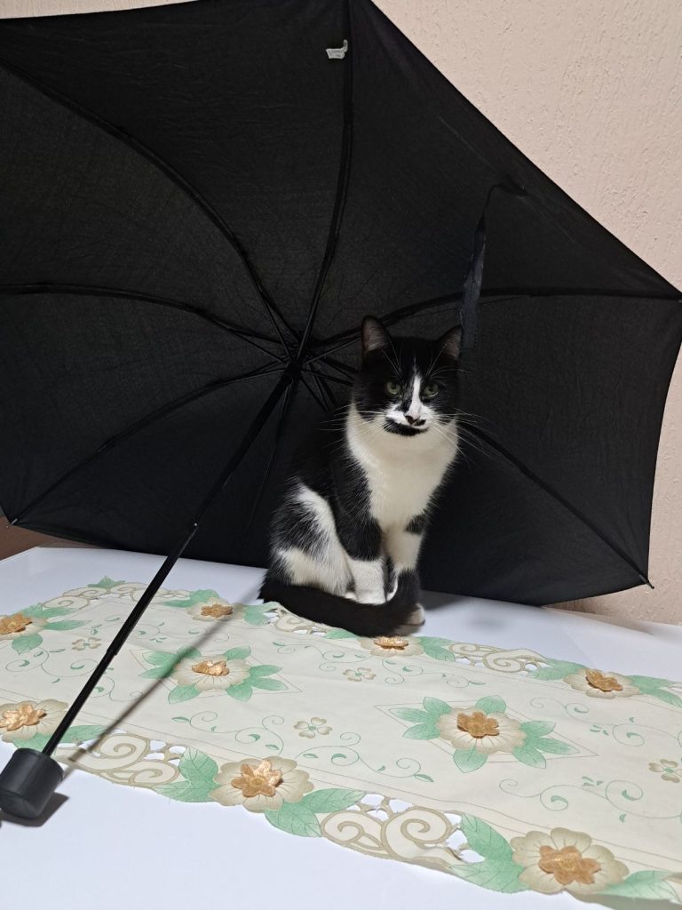 viber slika 2025 03 27 21 10 47 348