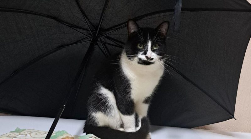 viber slika 2025 03 27 21 10 50 450