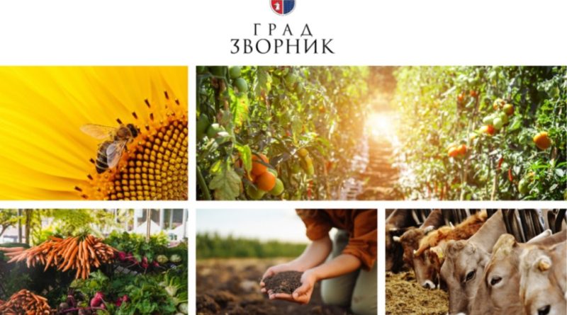 Screenshot 2025 04 07 130547