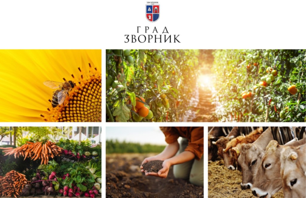 Screenshot 2025 04 07 130547