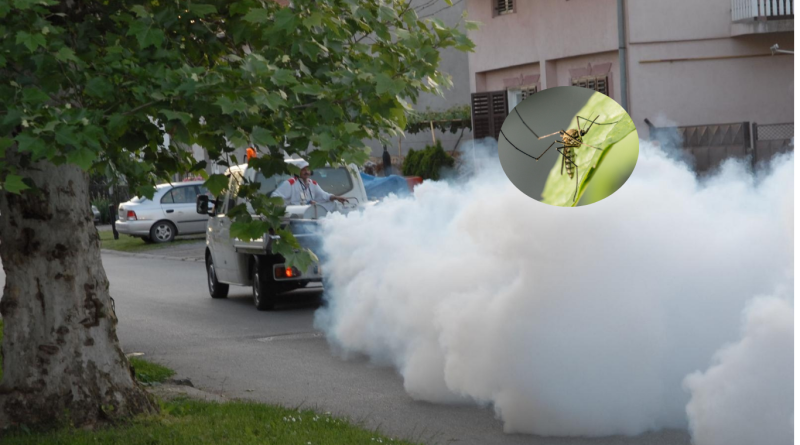 09.06.2025. Unistavanje komaraca