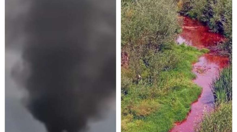 Mira Kostic Dejan Kostic Dela 872x610 1