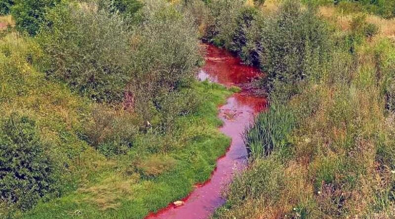 Srn2025 7 1 1733998 0 800x610 1