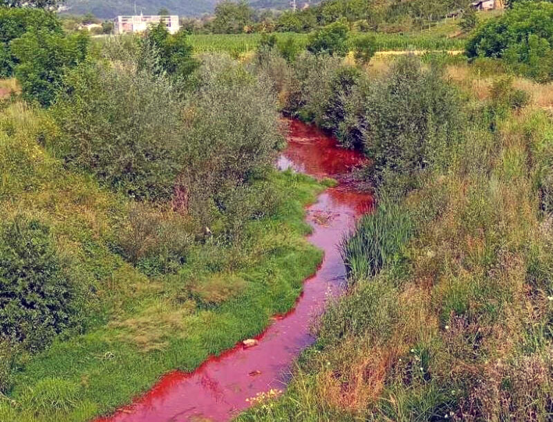 Srn2025 7 1 1733998 0 800x610 1