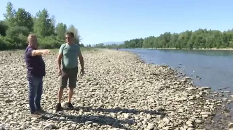 nikola i dozidar iz loznice