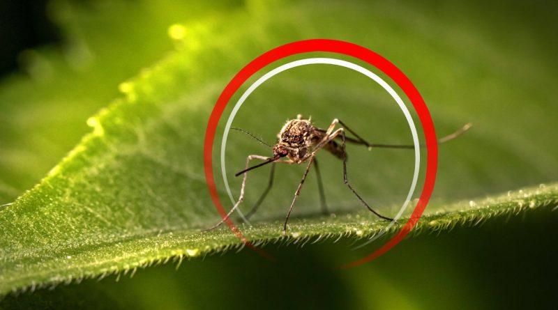 viber slika 2025 07 09 13 38 01 970