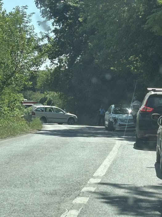 532210796 1338301978302055 5882770436123265818 n