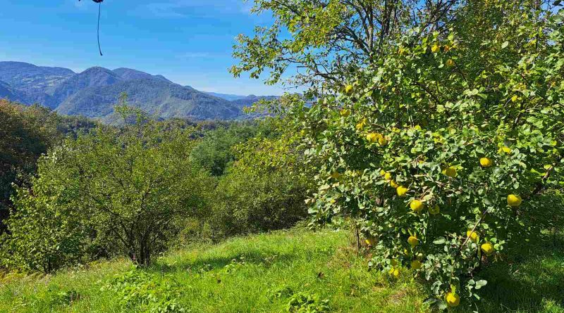 viber image 2022 10 06 10 04 36 264