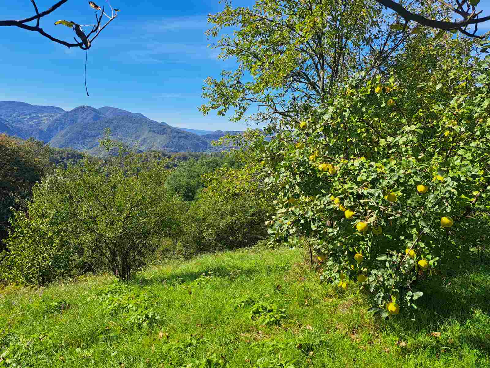 viber image 2022 10 06 10 04 36 264