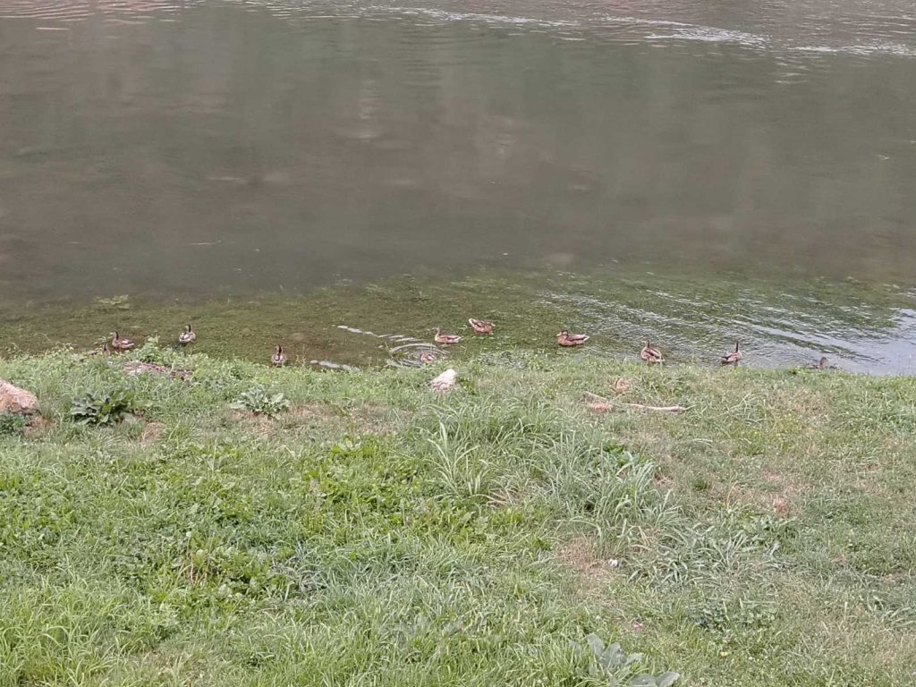 viber slika 2025 08 21 06 36 00 027