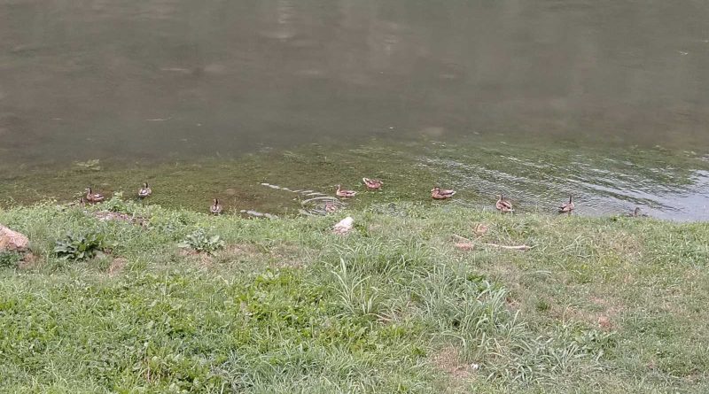 viber slika 2025 08 21 06 36 00 027